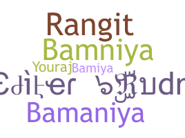 Kælenavn  - Bamniya