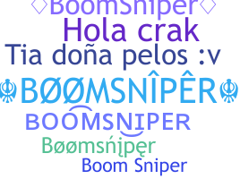 Kælenavn  - BoomSniper