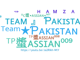 Kælenavn  - TeamPakistan