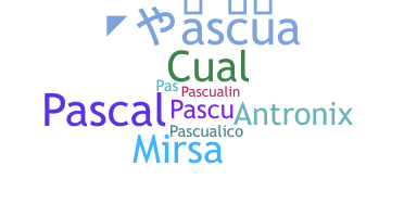 Kælenavn  - Pascual