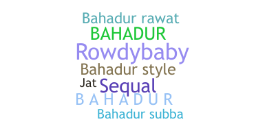 Kælenavn  - Bahadur