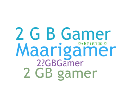 Kælenavn  - 2GBGAMER