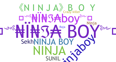 Kælenavn  - NinjaBoy