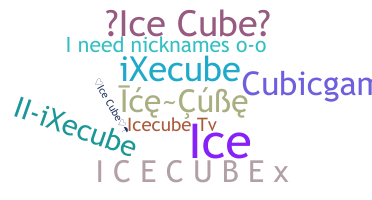 Kælenavn  - icecube