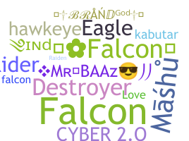 Kælenavn  - Falcons